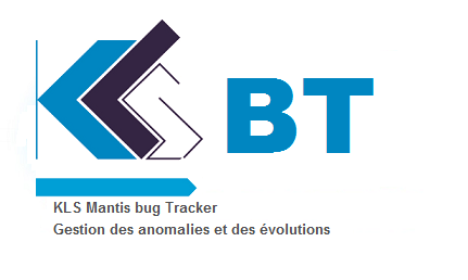 Gestion des anomalies et des �volutions